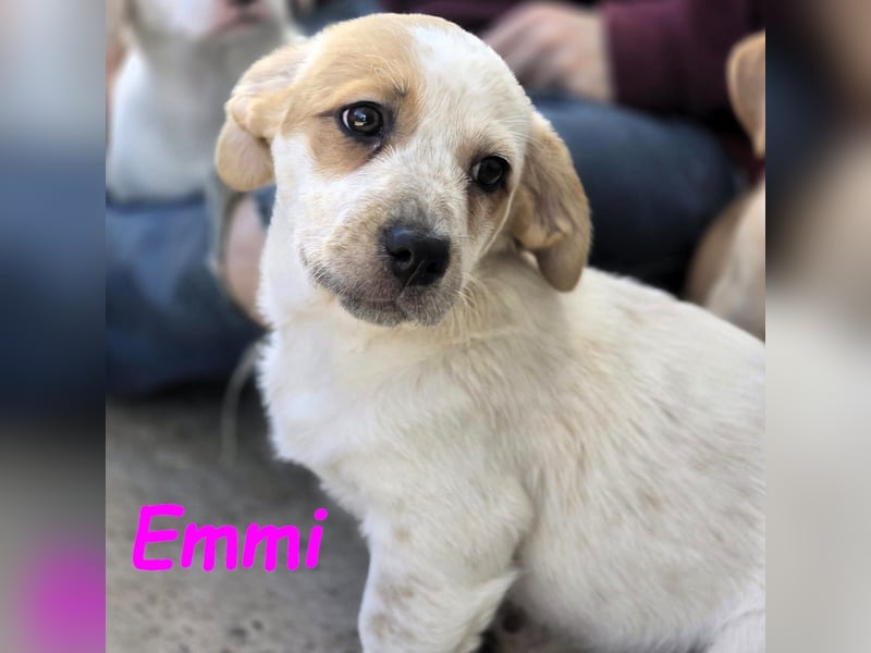 Emmi 01/2025 (ESP) - verschmustes und neugieriges, bezauberndes kleines Mädchen!