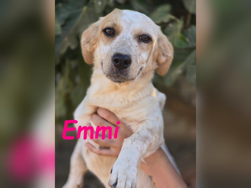 Emmi 01/2025 (ESP) - verschmustes und neugieriges, bezauberndes kleines Mädchen!