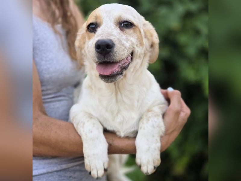 Emmi 01/2025 (ESP) - verschmustes und neugieriges, bezauberndes kleines Mädchen!