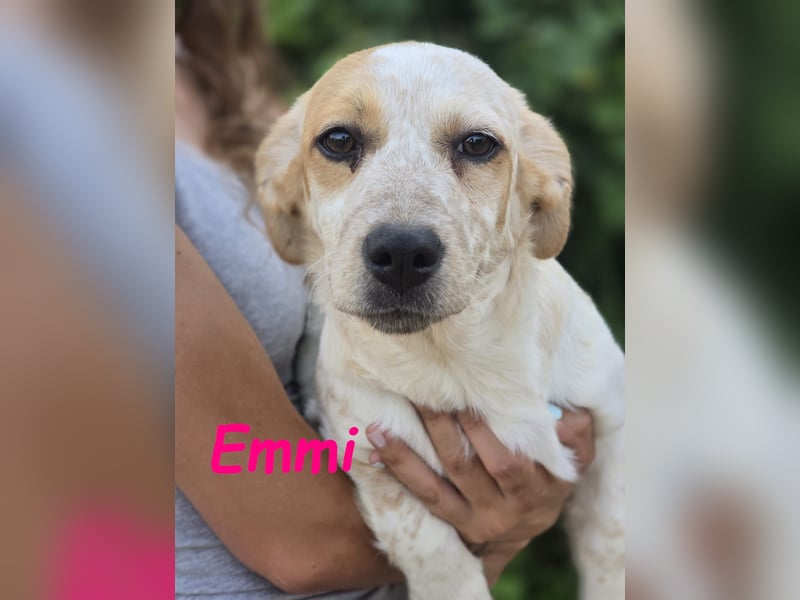 Emmi 01/2025 (ESP) - verschmustes und neugieriges, bezauberndes kleines Mädchen!