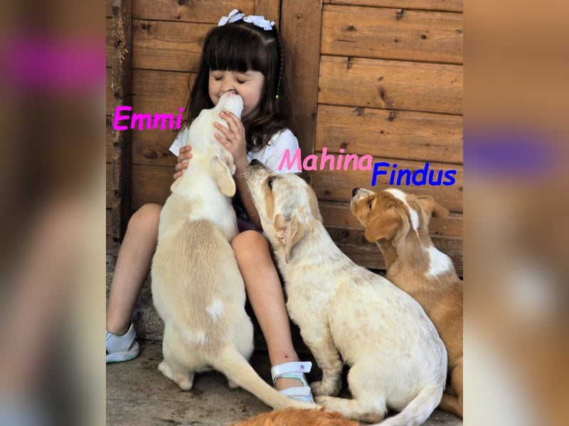 Emmi 01/2025 (ESP) - verschmustes und neugieriges, bezauberndes kleines Mädchen!