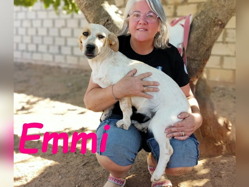 Emmi 01/2025 (ESP) - verschmustes und neugieriges, bezauberndes kleines Mädchen!