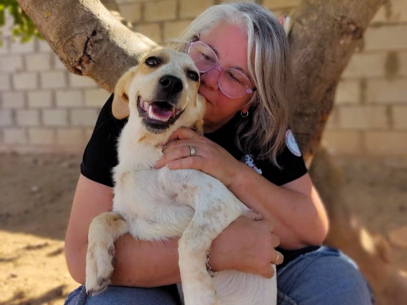 Emmi 01/2025 (ESP) - verschmustes und neugieriges, bezauberndes kleines Mädchen!