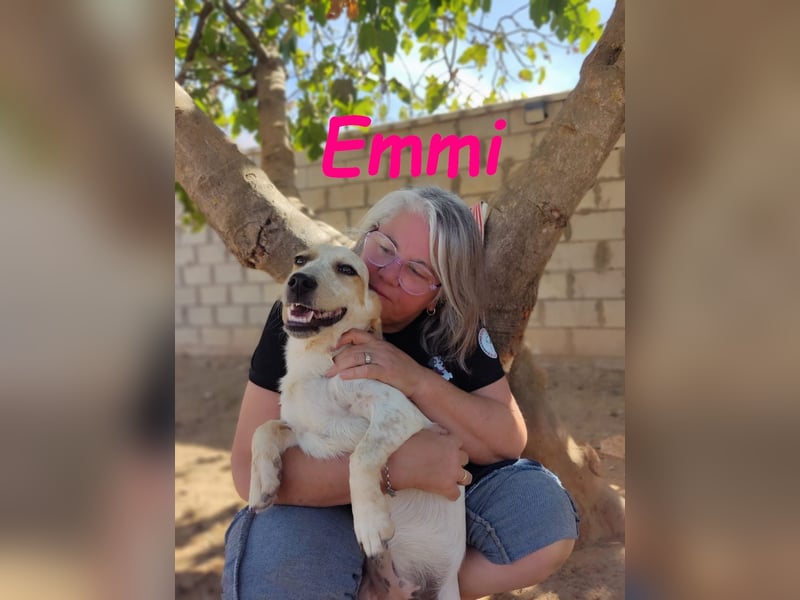 Emmi 01/2025 (ESP) - verschmustes und neugieriges, bezauberndes kleines Mädchen!