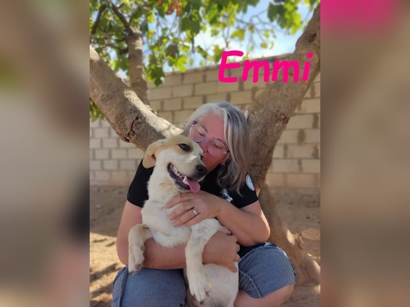 Emmi 01/2025 (ESP) - verschmustes und neugieriges, bezauberndes kleines Mädchen!