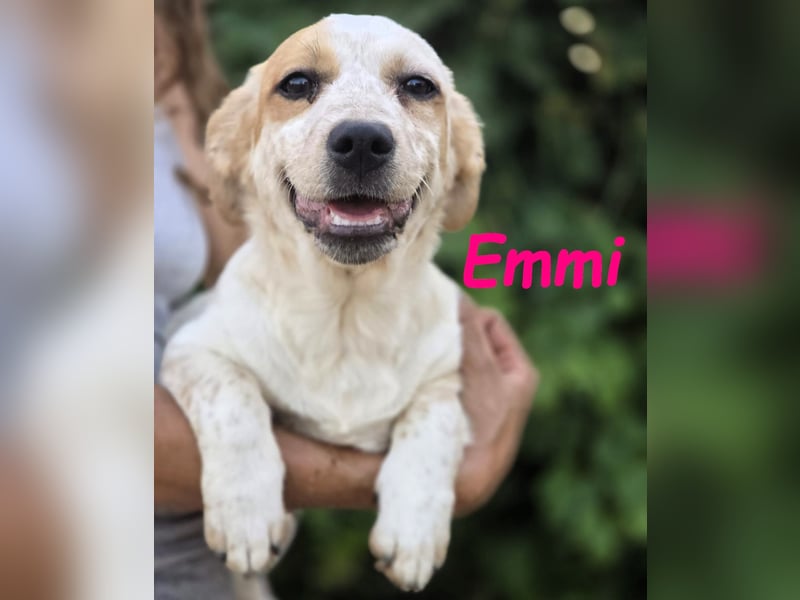 Emmi 01/2025 (ESP) - verschmustes und neugieriges, bezauberndes kleines Mädchen!