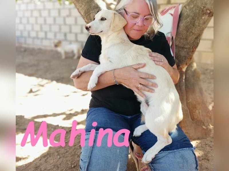 Mahina 01/2025 (ESP) - anhängliches und freundliches, süßes kleines Mädchen!