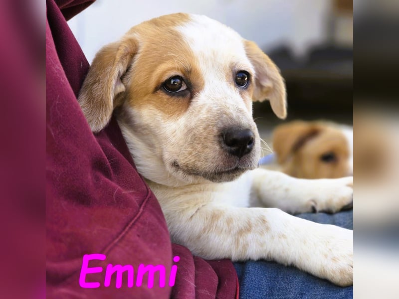 Emmi 01/2025 (ESP) - verschmustes und neugieriges, bezauberndes kleines Mädchen!