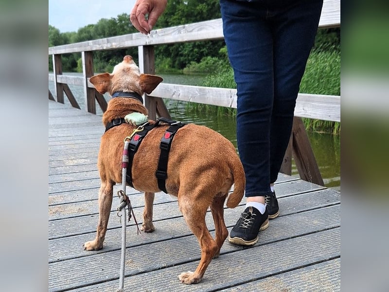 Josh lieber kleiner Schatz