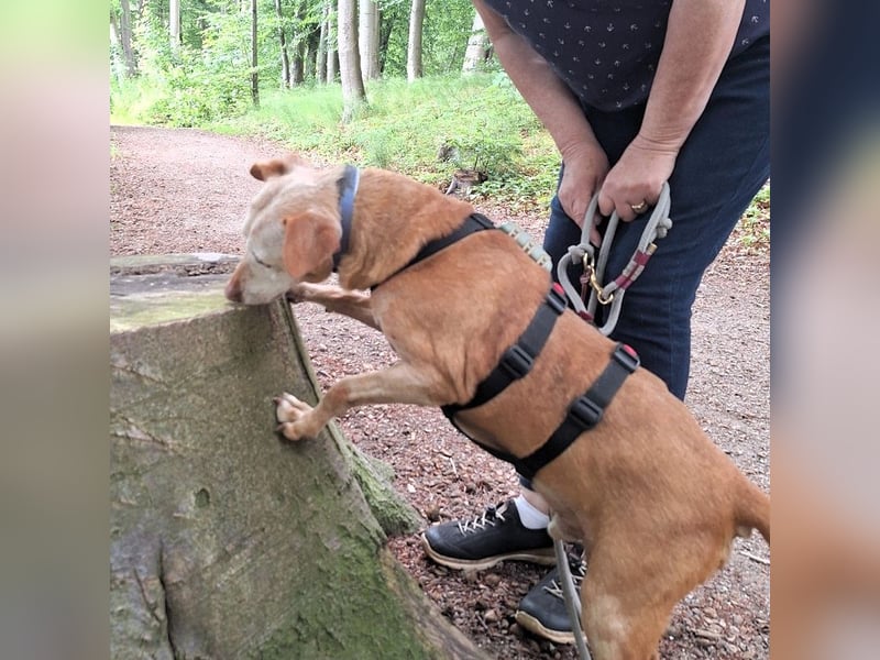 Josh lieber kleiner Schatz