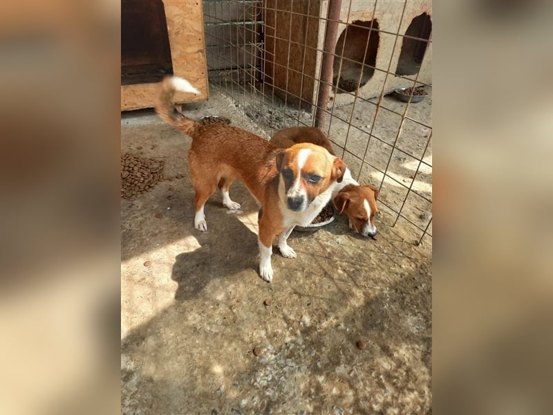 Unsere tolle Alani