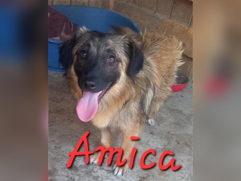 Unsere hübsche Amica