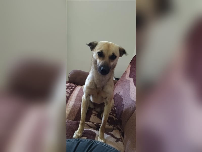 Unsere kleine Maus Carry