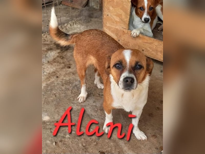 Unsere tolle Alani