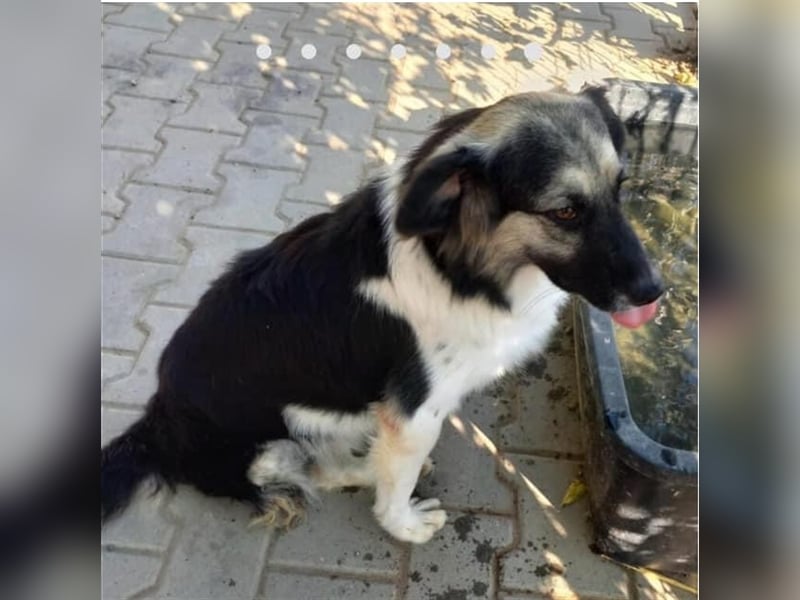 Unsere süsse Lili