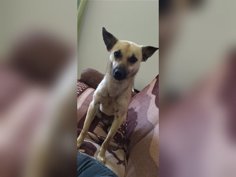 Unsere kleine Maus Carry