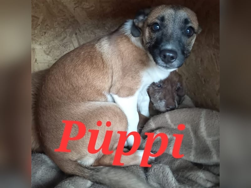 Unsere liebe Püppi