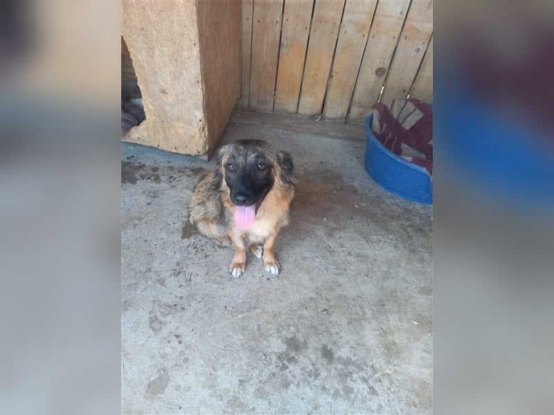 Unsere hübsche Amica