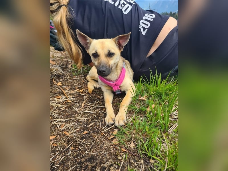 Unsere kleine Maus Carry