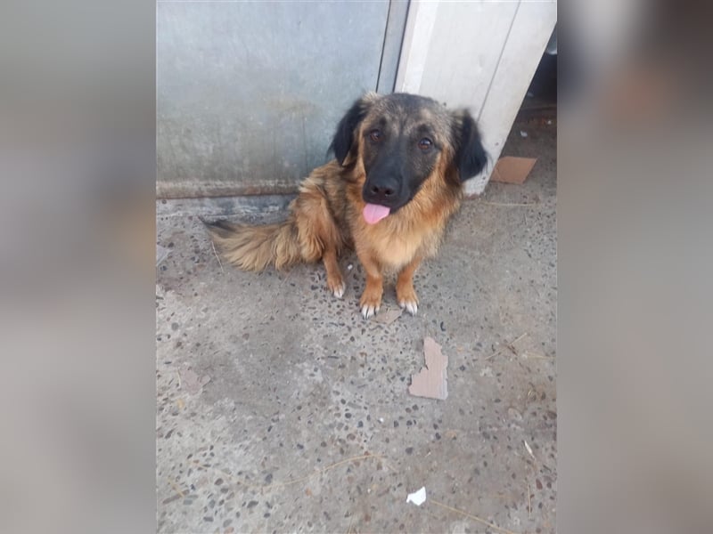 Unsere hübsche Amica