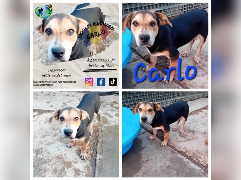 Unser schöner Carlo