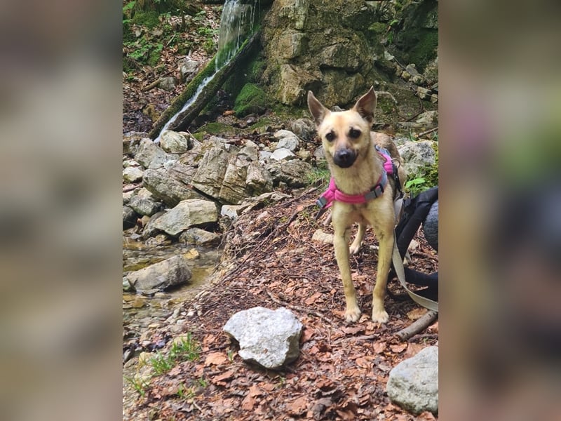 Unsere kleine Maus Carry