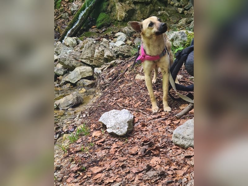 Unsere kleine Maus Carry