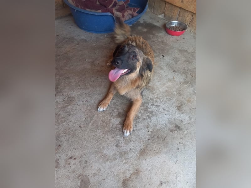 Unsere hübsche Amica