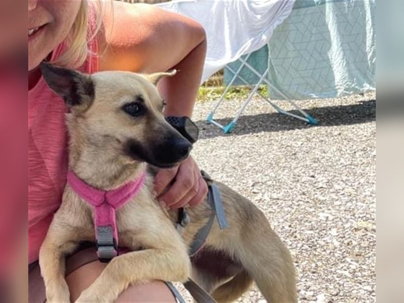 Unsere kleine Maus Carry