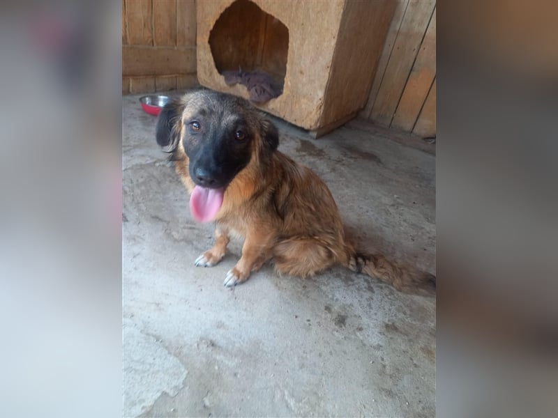 Unsere hübsche Amica