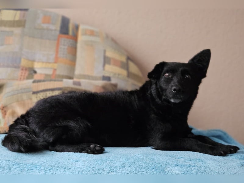 Cora mag erlebnisreiche Spaziergänge (61184 Karben)