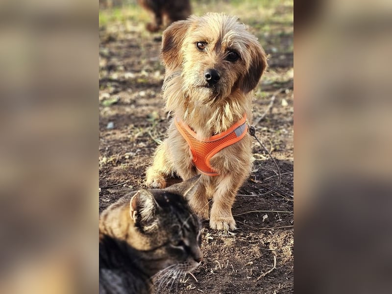 Kara zeigt sicht sehr aufgeschlossen Kara zeigt sicht sehr aufgeschlossen