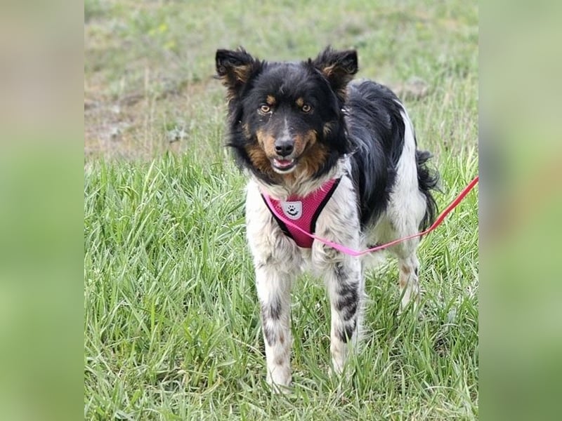 Marvel liebt Bewegung und Kopfarbeit