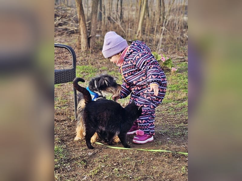 Tibor hat eine rasche Auffassungsgabe