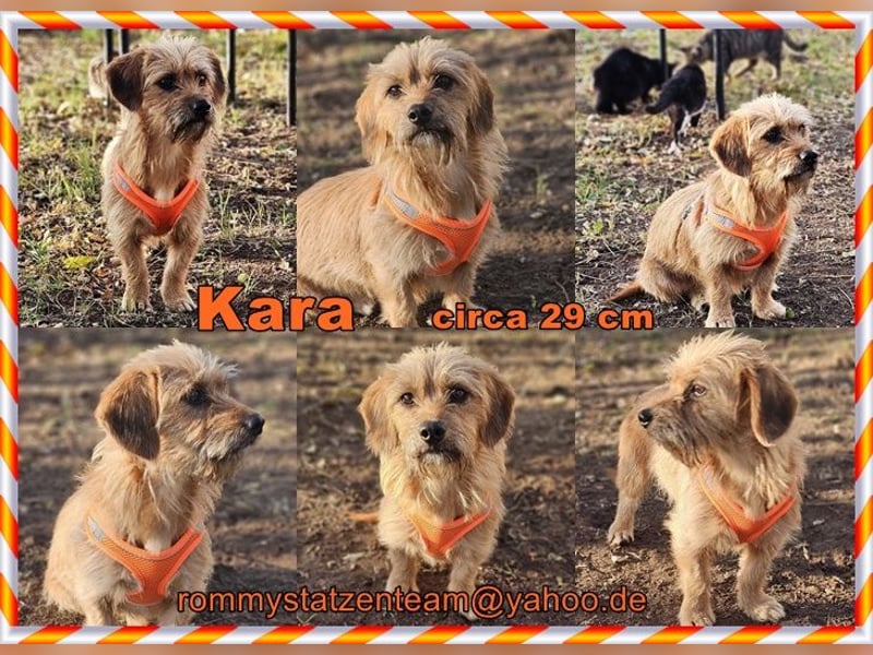 Kara zeigt sicht sehr aufgeschlossen Kara zeigt sicht sehr aufgeschlossen