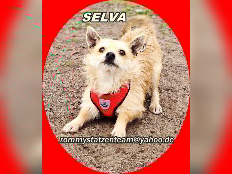 Selva mag lange Schnüffelrunden