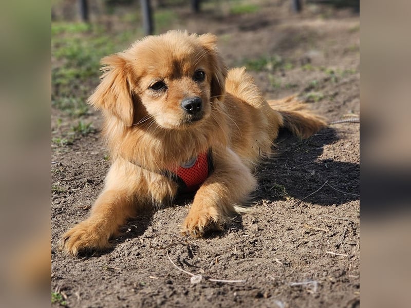 Monisha kennt bisher nur wenig