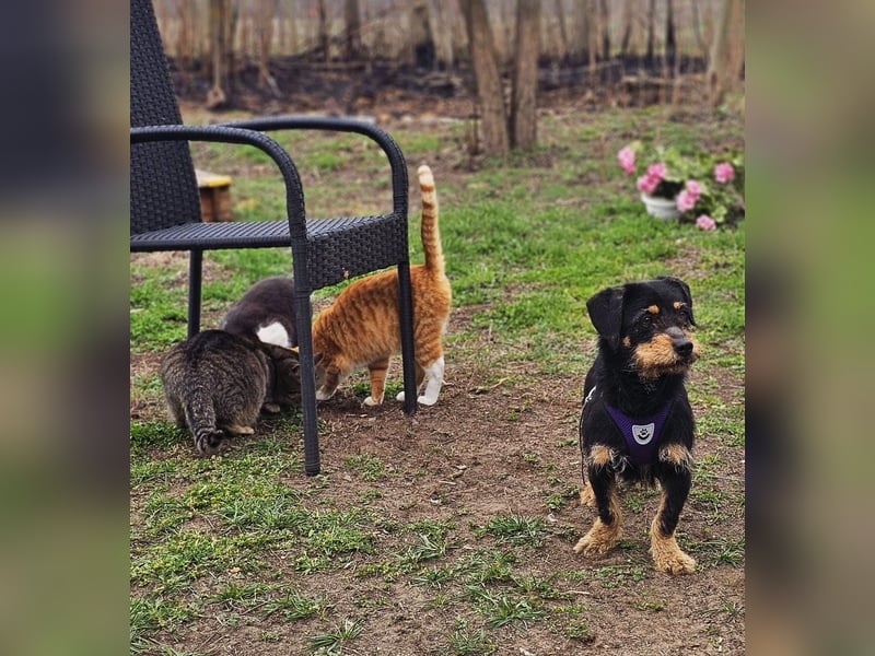 Moni zeigt ein gutes Sozialverhalten