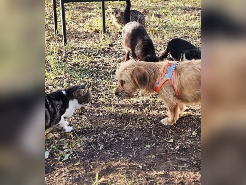 Kara zeigt sicht sehr aufgeschlossen Kara zeigt sicht sehr aufgeschlossen