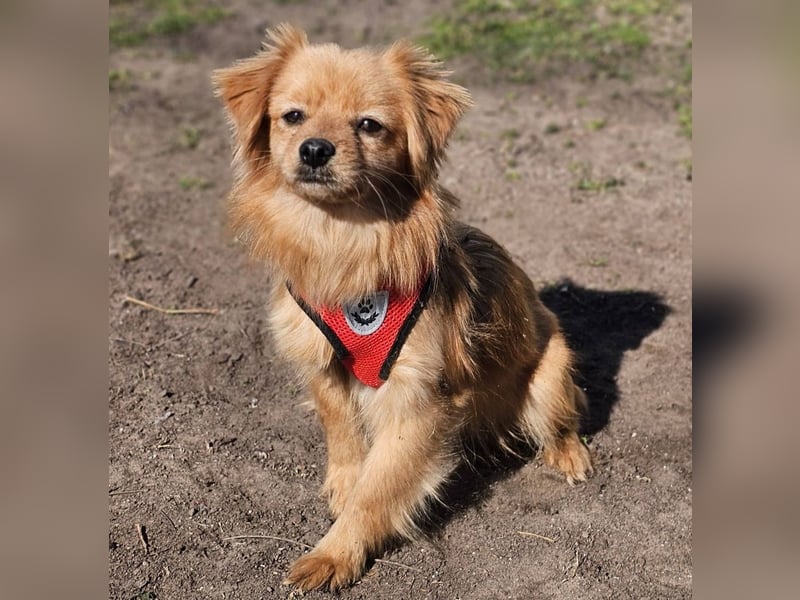 Monisha kennt bisher nur wenig