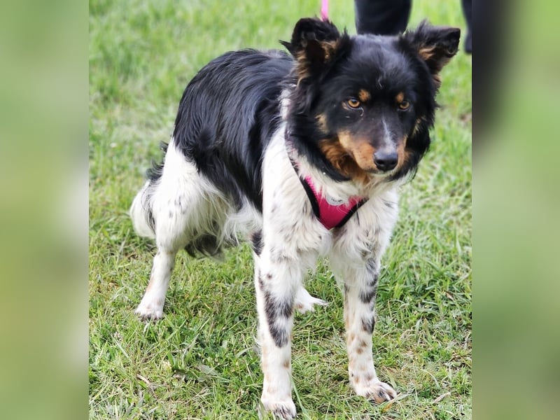 Marvel liebt Bewegung und Kopfarbeit