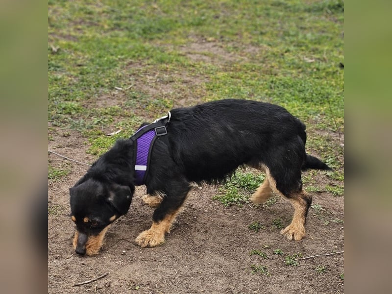 Moni zeigt ein gutes Sozialverhalten