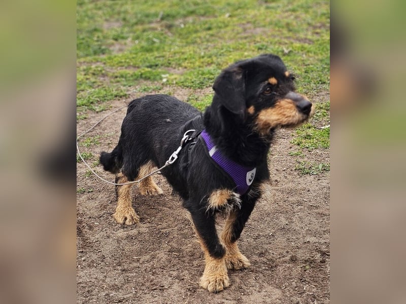 Moni zeigt ein gutes Sozialverhalten