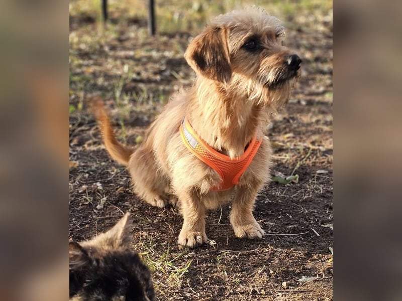 Kara zeigt sicht sehr aufgeschlossen Kara zeigt sicht sehr aufgeschlossen