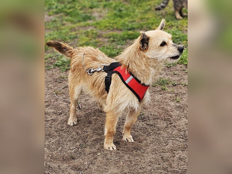 Selva mag lange Schnüffelrunden
