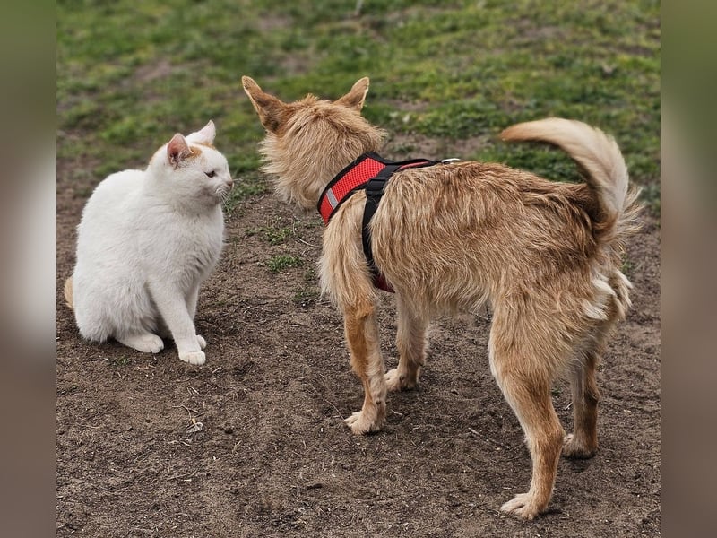 Selva mag lange Schnüffelrunden