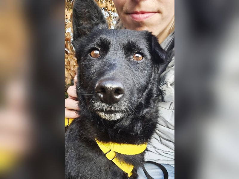 Cora mag erlebnisreiche Spaziergänge (61184 Karben)