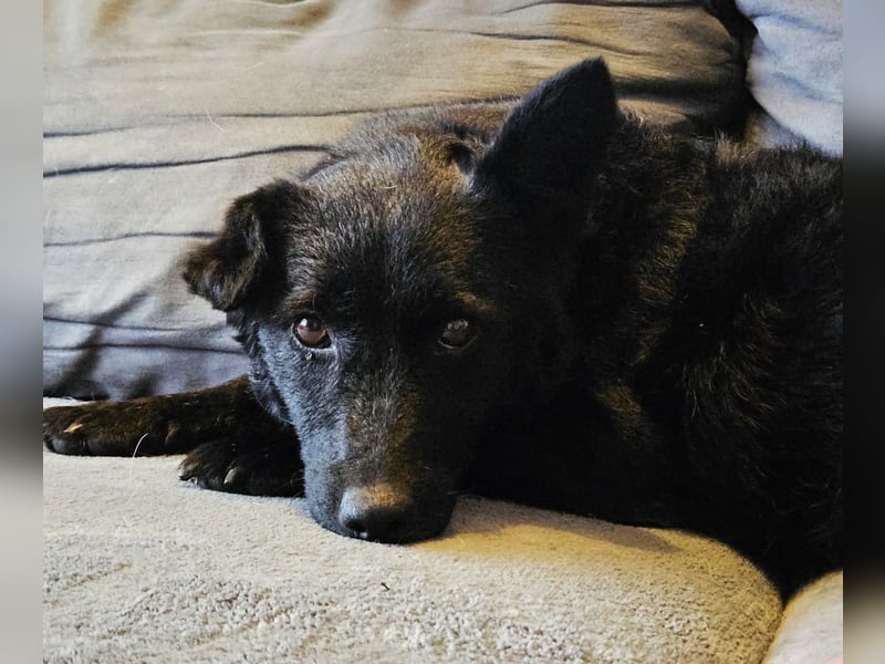 Cora mag erlebnisreiche Spaziergänge (61184 Karben)