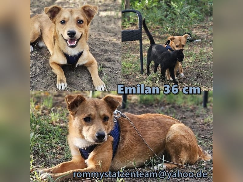 Emilan möchte so gerne neue Dinge lernen
