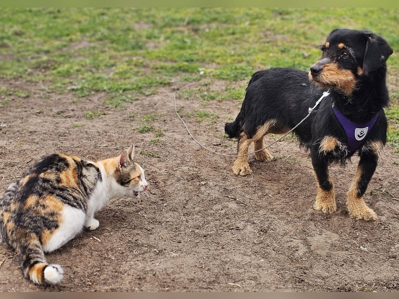 Moni zeigt ein gutes Sozialverhalten